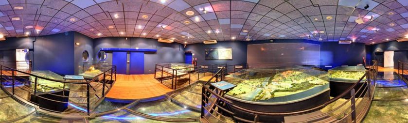 Museoscope du lac ROUSSET - © Museoscope du lac