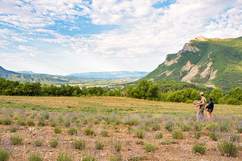 paysage - © payasage