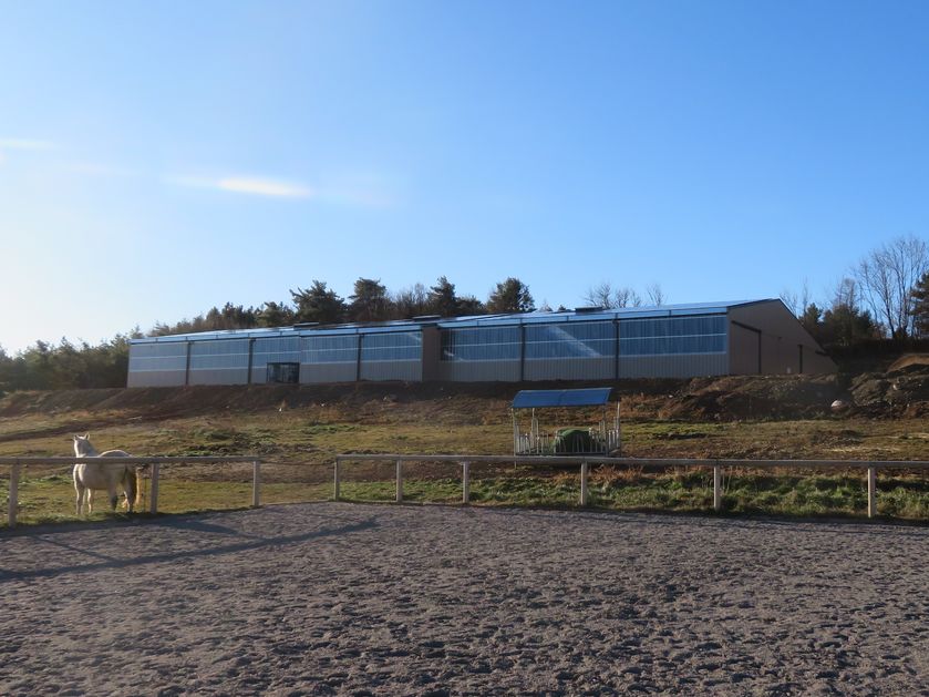 Manège, boxes...dispo dans l'année - © Giansetto Claudine