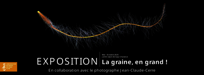 Exposition La Graine, en Grand ! - © JC. Cerre Exposition La Graine, en Grand ! - © JC. Cerre
