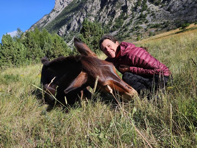 Les écuries d'Aloha_Neffes Les écuries d'Aloha_Neffes