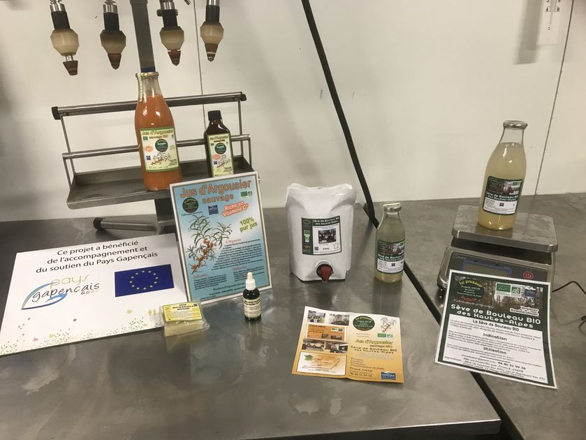 IMG_0299.jpg - © F.Amar