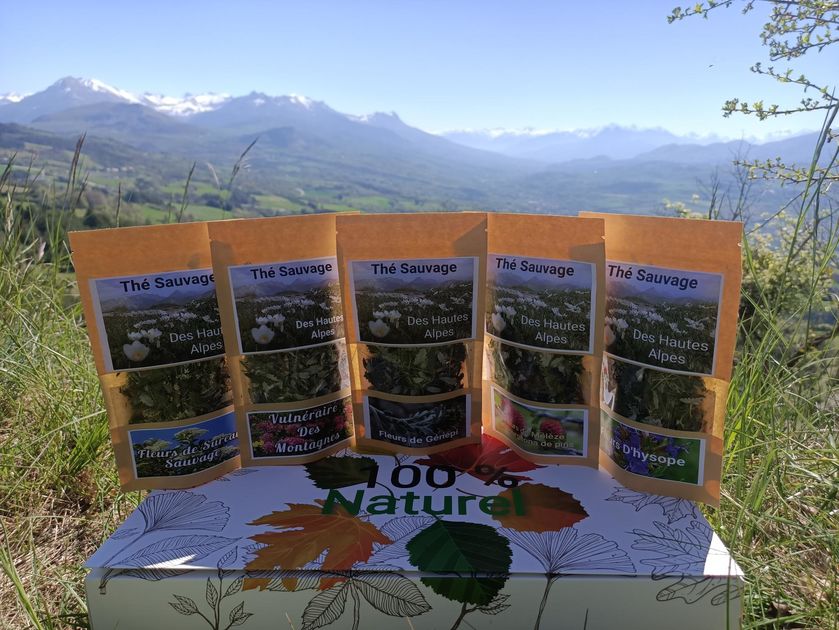 100% Naturel_Gap - © PV