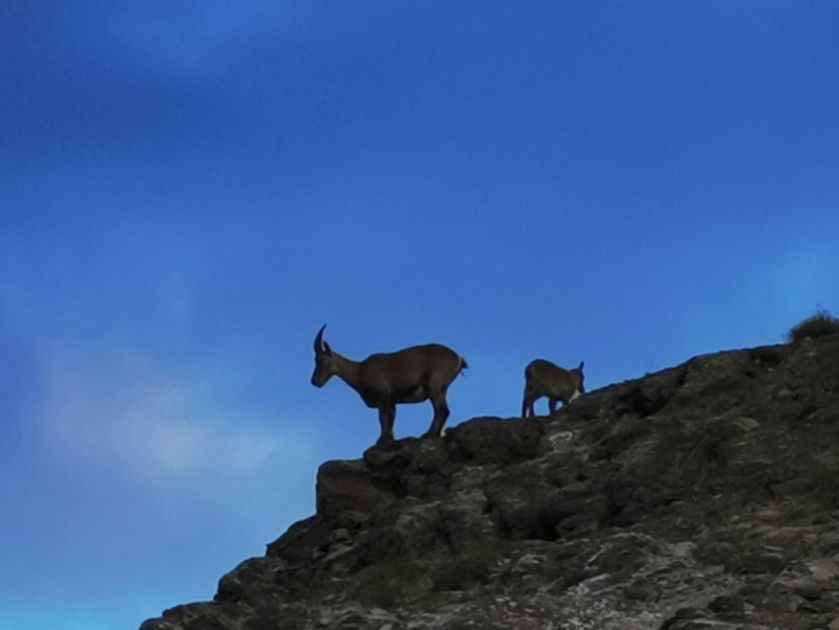 Infiniment-montagne 20 - © M Sonnet