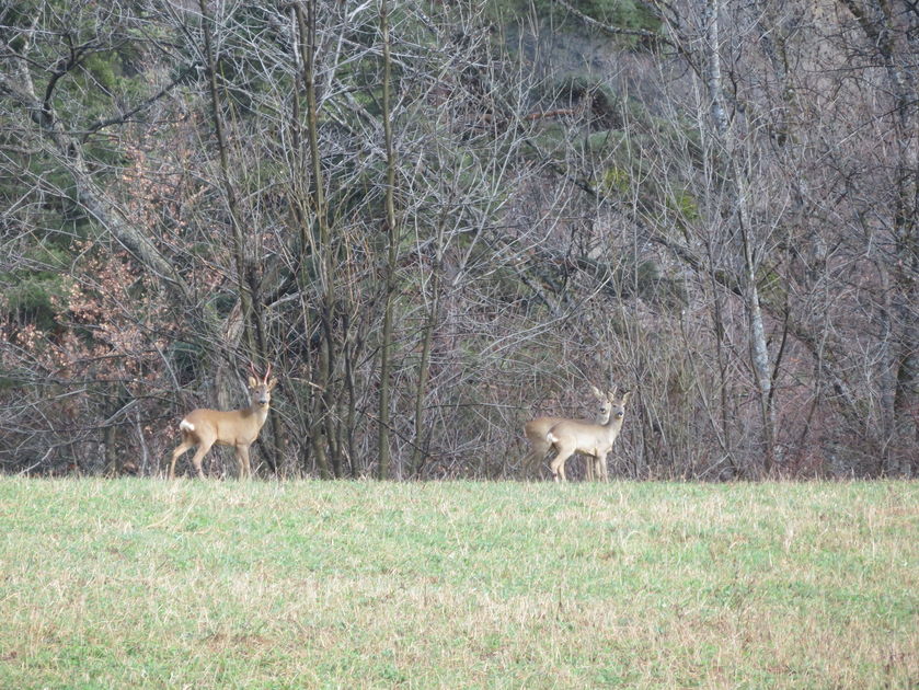Une nature préservée - © Giansetto Claudine