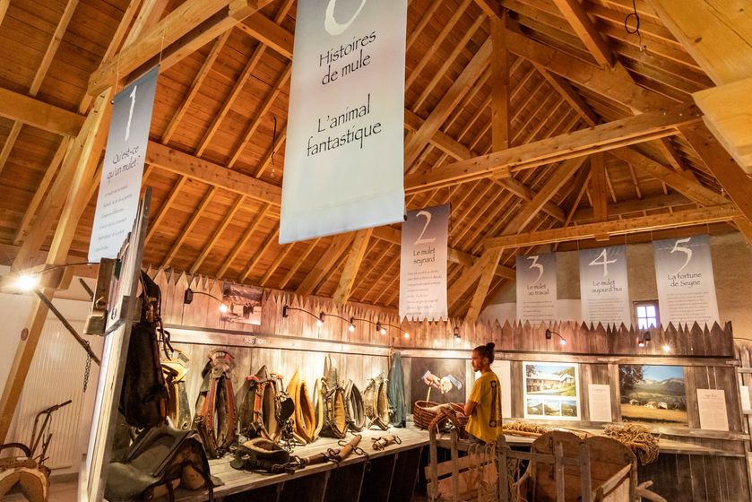 expo permanente Maison du Mulet - © ©VCC04-Thibaut Vergoz