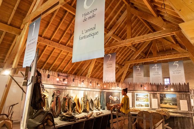 expo permanente Maison du Mulet - © ©VCC04-Thibaut Vergoz expo permanente Maison du Mulet - © ©VCC04-Thibaut Vergoz
