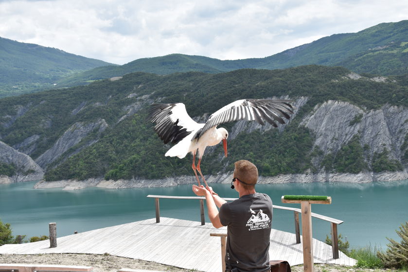 Parc Animalier de Serre-Ponçon LE SAUZE-DU-LAC - © Parc Animalier de Serre-Ponçon LE SAUZE-DU-LAC