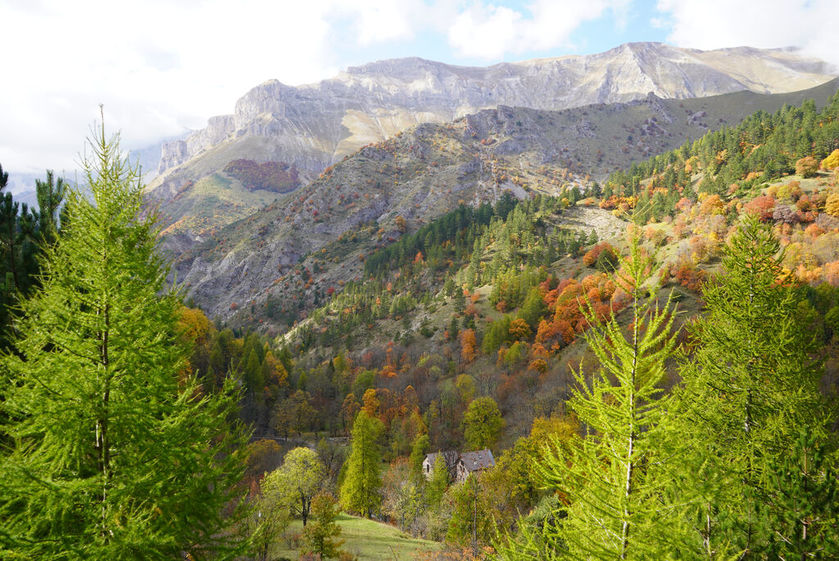 Rando immersive avec l'ONF dans la forêt d'exception du Bois du Chapitre / Cirque de Chaudun_Gap - © OT Terres de Gap