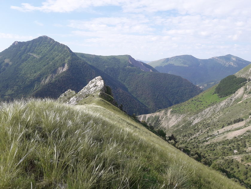 Rando immersive avec l'ONF dans la forêt d'exception du Bois du Chapitre / Cirque de Chaudun_Gap - © Simon Brochier - ONF