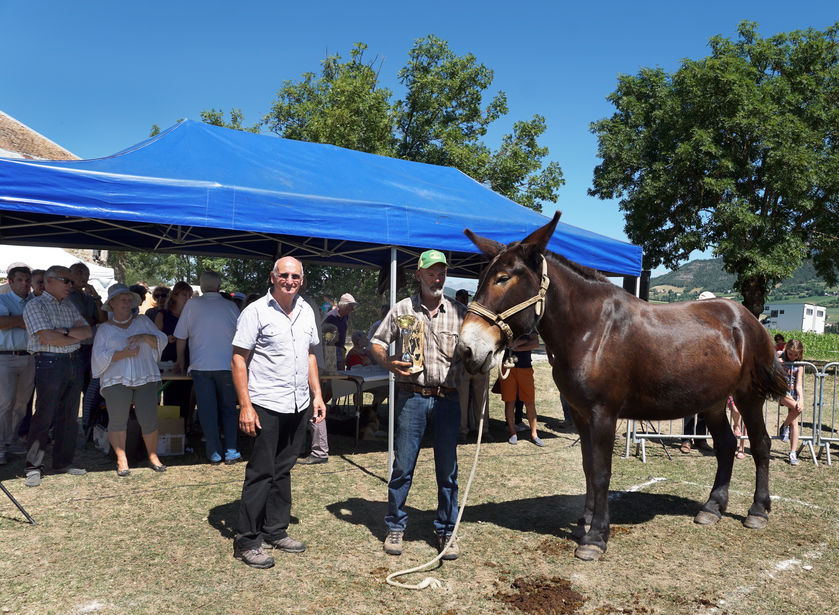 la Maison du Mulet - © Gilbert Mathieu
