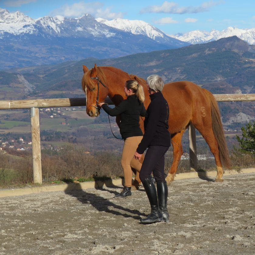 Centre équestre les chevaux du lac_Pelleautier