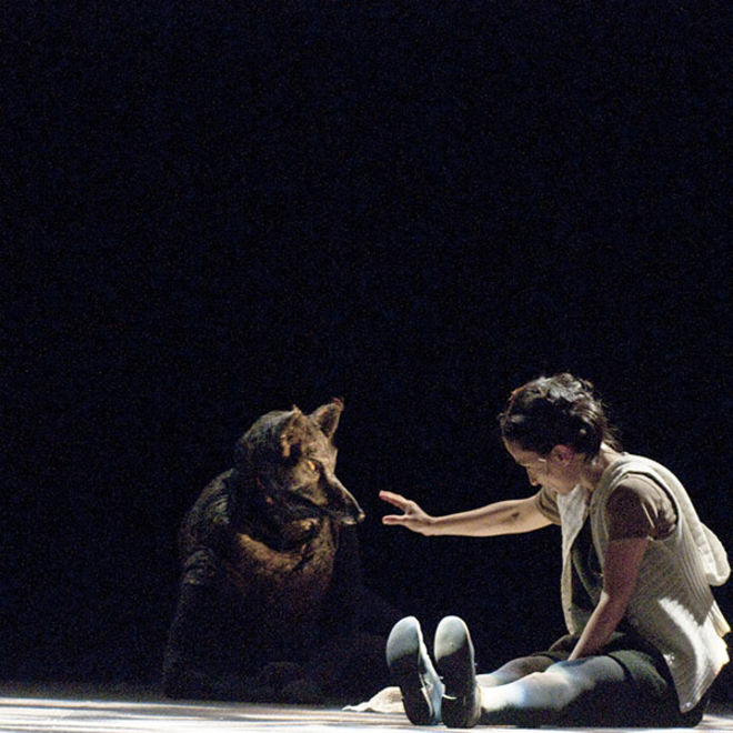 - © Elisabeth Carecchio  - © Elisabeth Carecchio