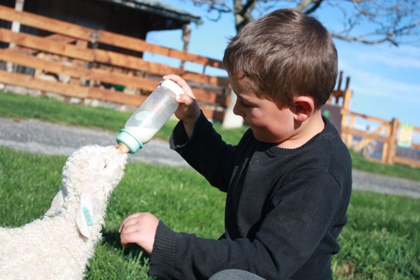 La Ferme du Col JARJAYES - © La Ferme du Col JARJAYES