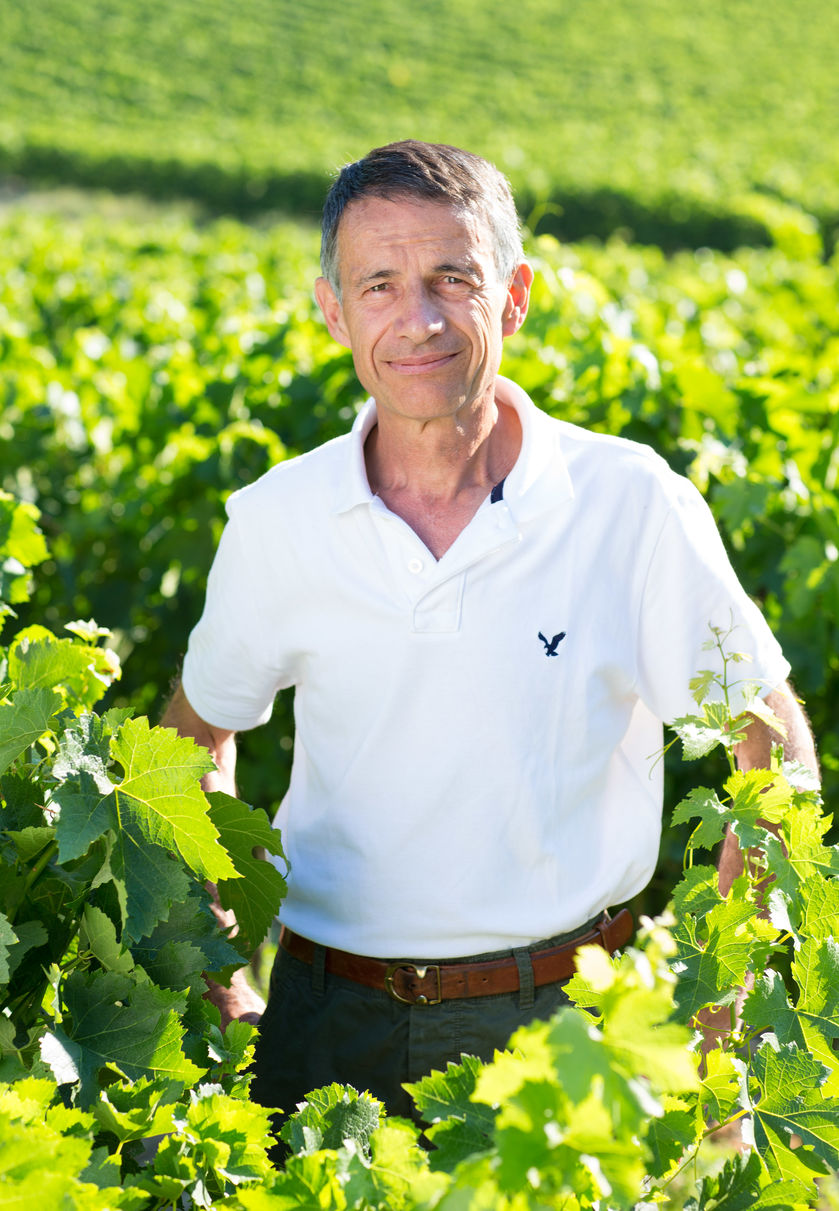 Domaine ST André - © P.Bilocq