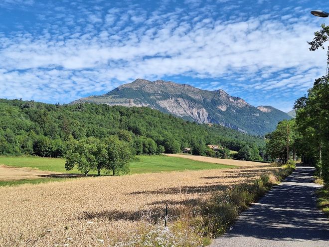 Chemin d'accès - © Le Boisnheur Chemin d'accès - © Le Boisnheur