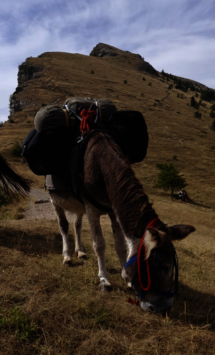 Randonnée à Charance - © A.Chenu